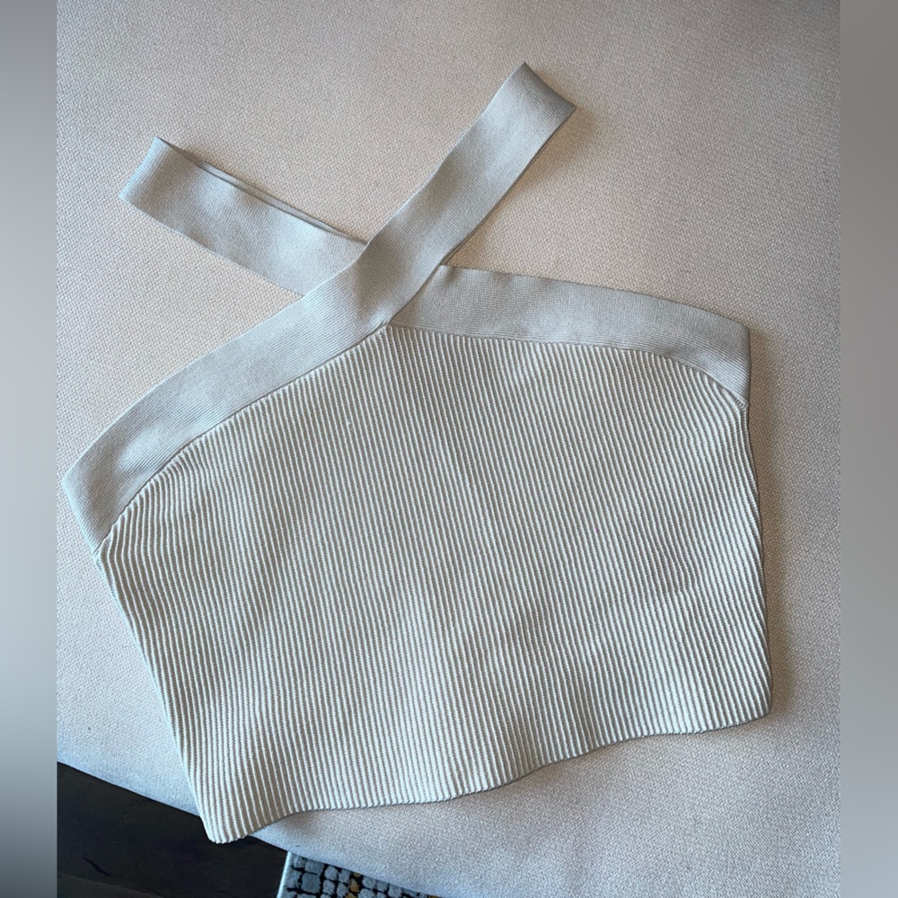 Aritzia Babaton Crop Top